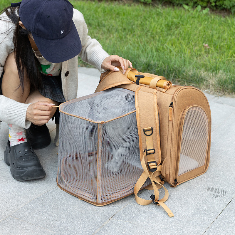 Portable cat bag, expandable l - Foldable Backpack Small 评论和价格