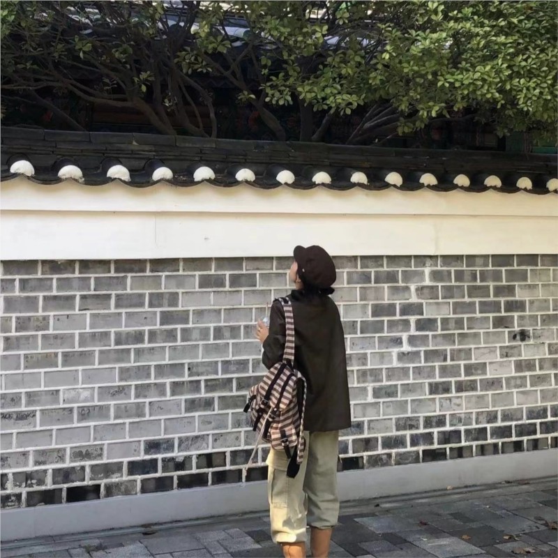 Harajuku Vintage Backpack Wome - Fashion Backpack Women 评论和价格