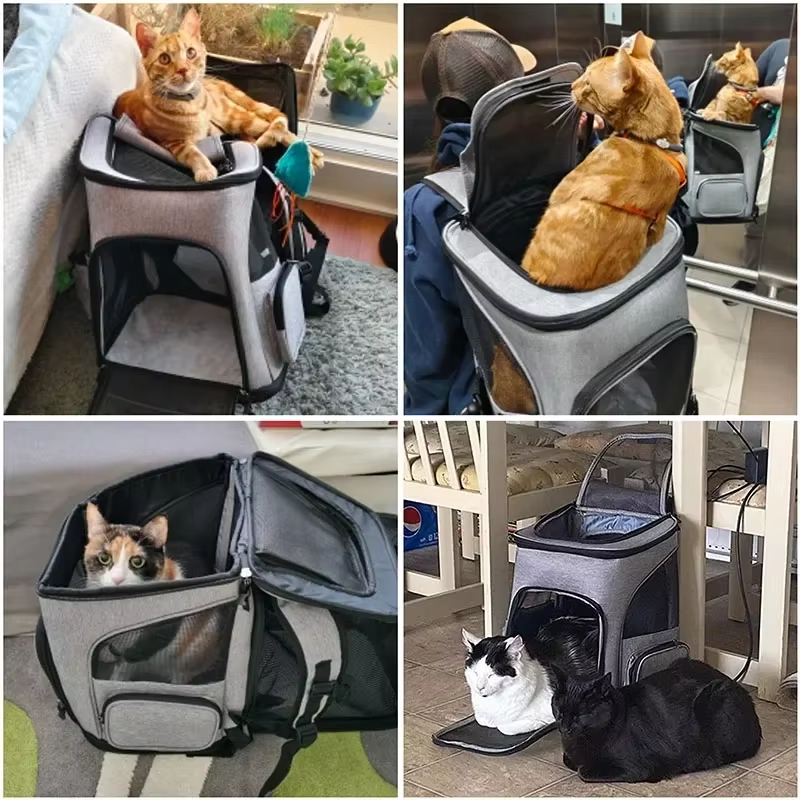 Cat Bag Outdoor Portable Cat B - Foldable Backpack Small 评论和价格