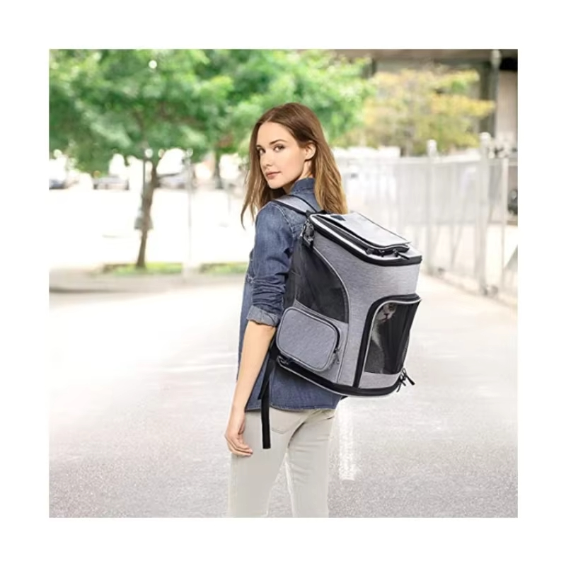 Cat Bag Outdoor Portable Cat B - Foldable Backpack Small 评论和价格