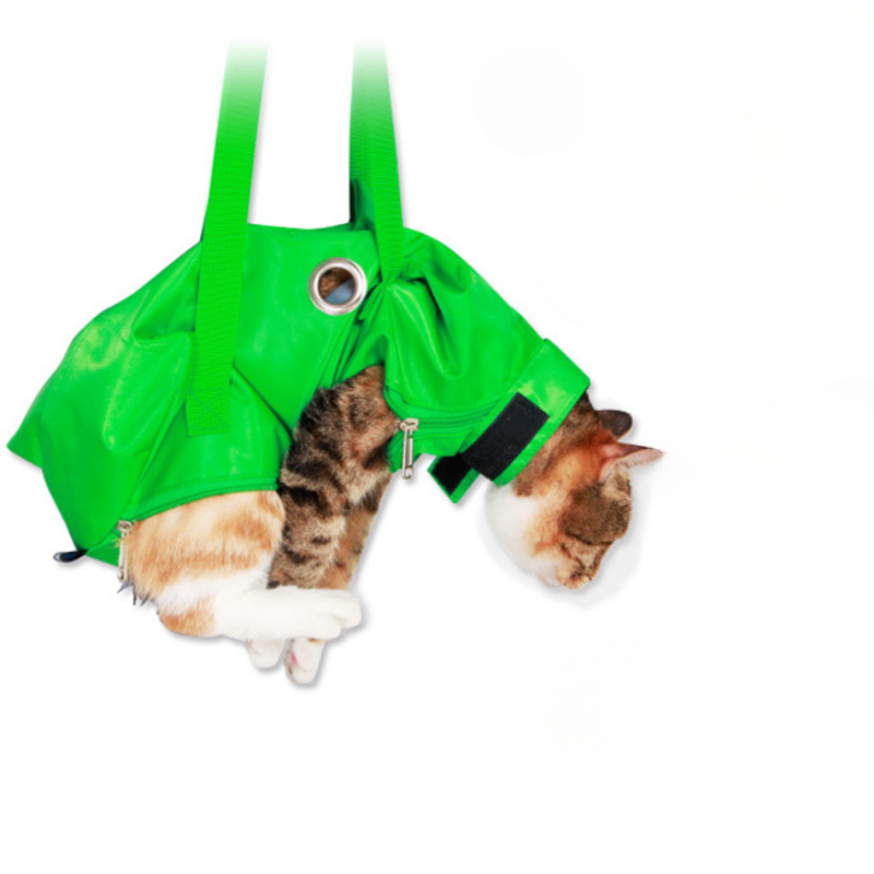 Portable Cat Backpack Pet Summ - Foldable Backpack Small 评论和价格